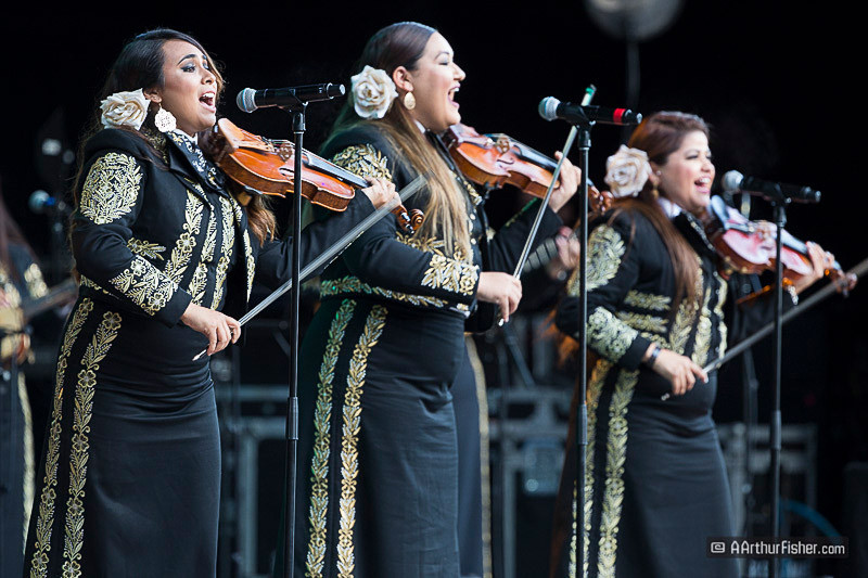 Mariachi Divas de Cindy Shea Mariachi Divas de Cindy Shea