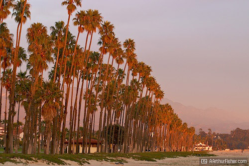 Chase Palm Park Sunset Chase Palm Park Sunset