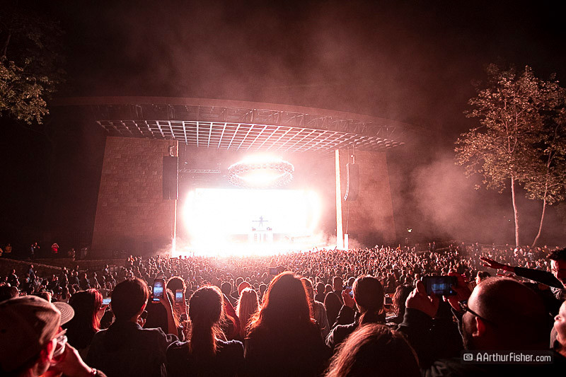 Zedd Zedd