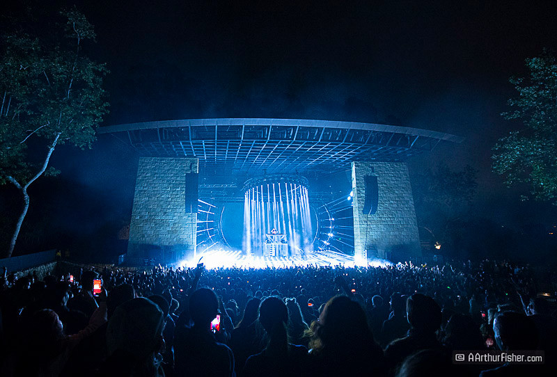 Zedd Zedd