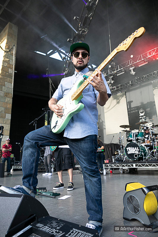 Tribal Seeds Tribal Seeds