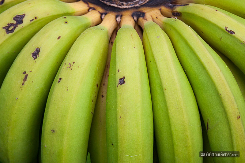 Banana Banana