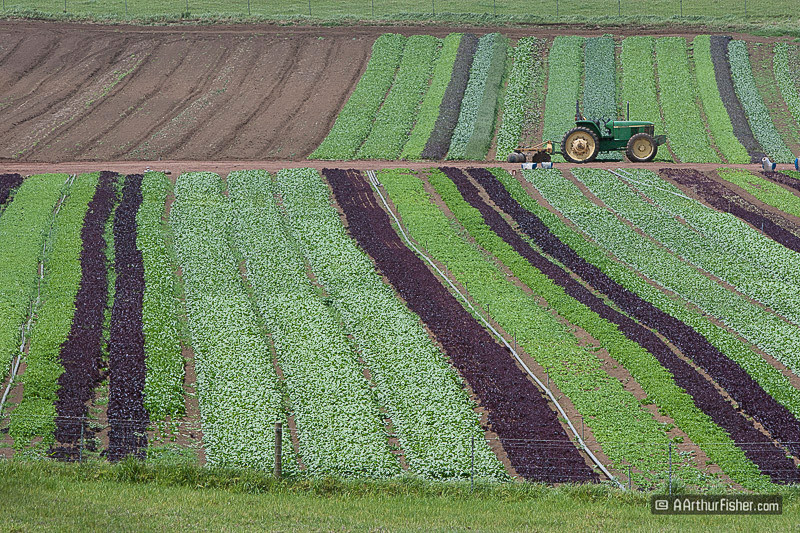 North Kohala Farm Land North Kohala Farm Land