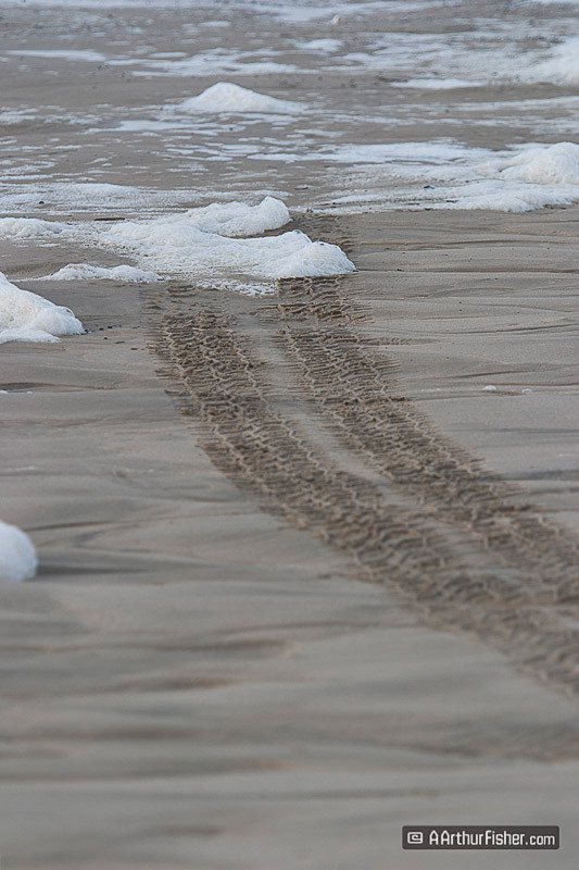 Tire Tracks in Sand Tire Tracks in Sand