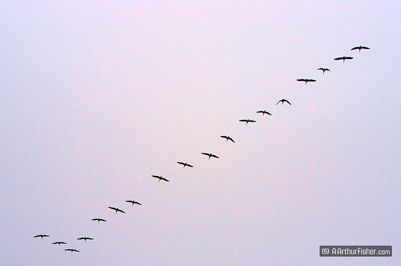 AF070722 0302b AF070722 0302b