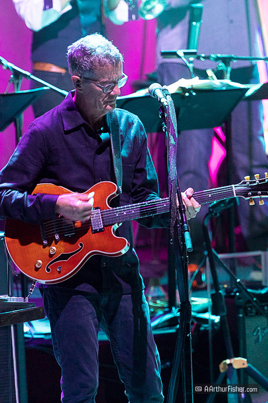 Steely Dan Steely Dan