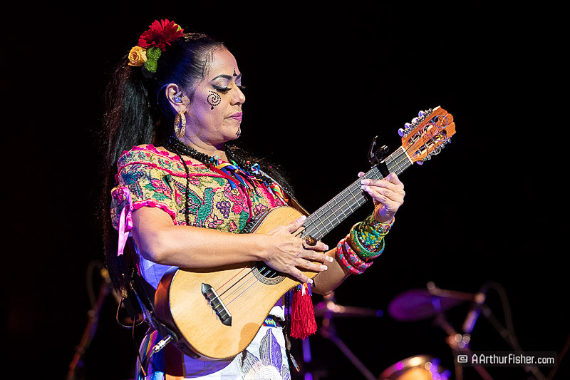 AF191026 1234 AF191026 1234