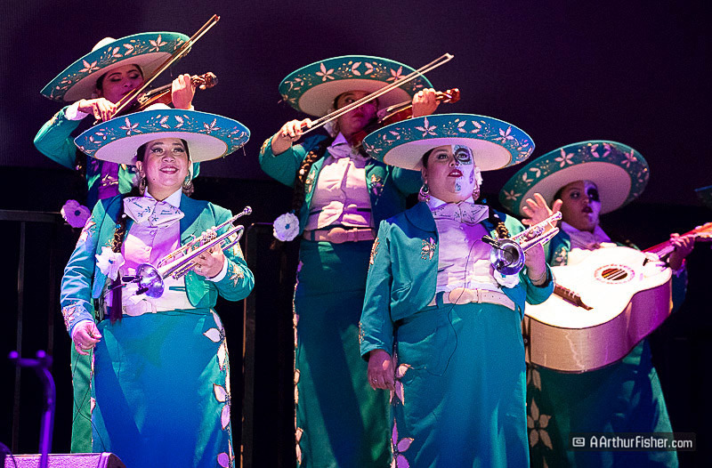 AF191026 1250 AF191026 1250