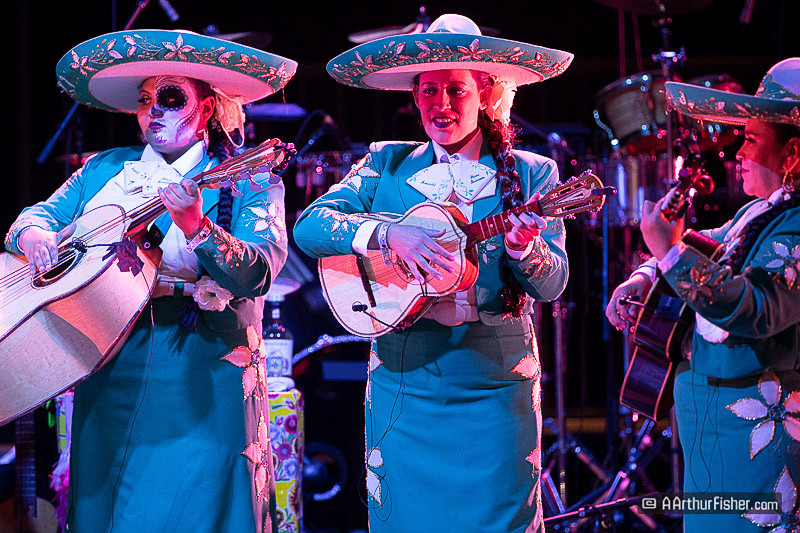 AF191026 1317 AF191026 1317