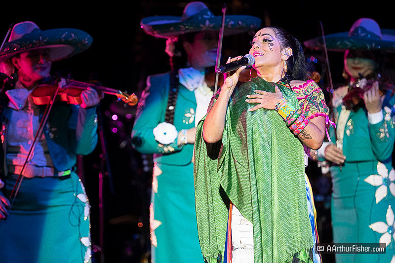 AF191026 1320 AF191026 1320