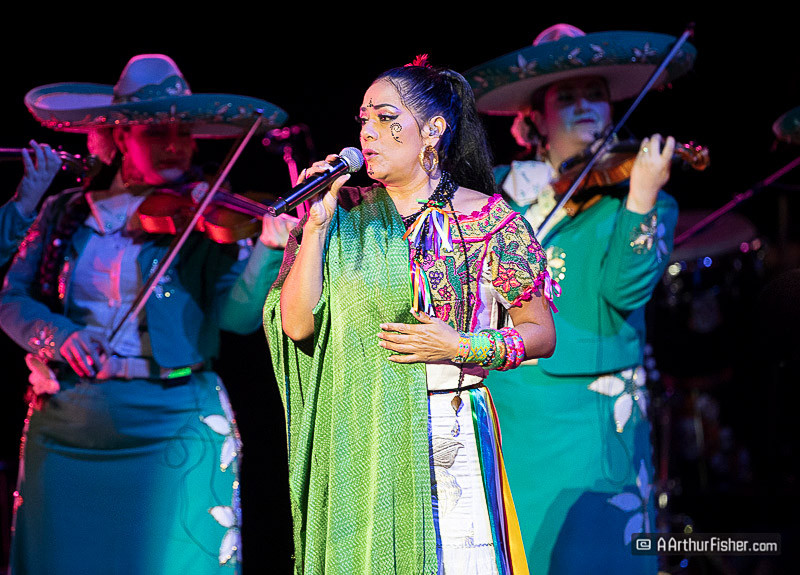 AF191026 1326 AF191026 1326