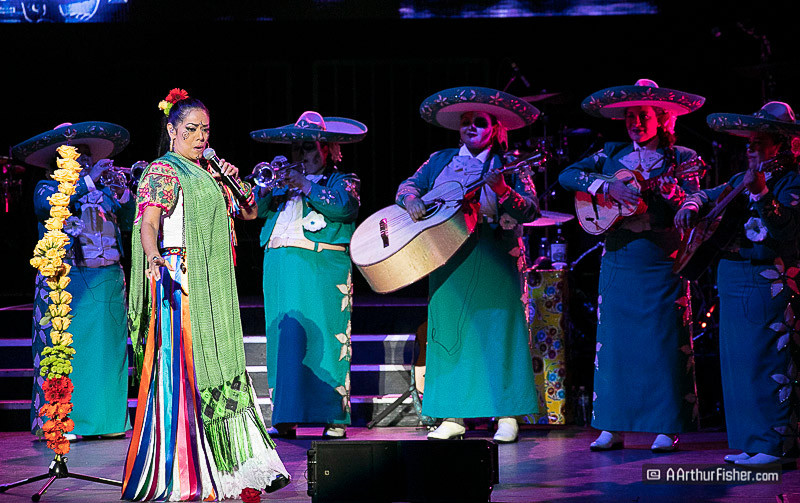 AF191026 1343 AF191026 1343