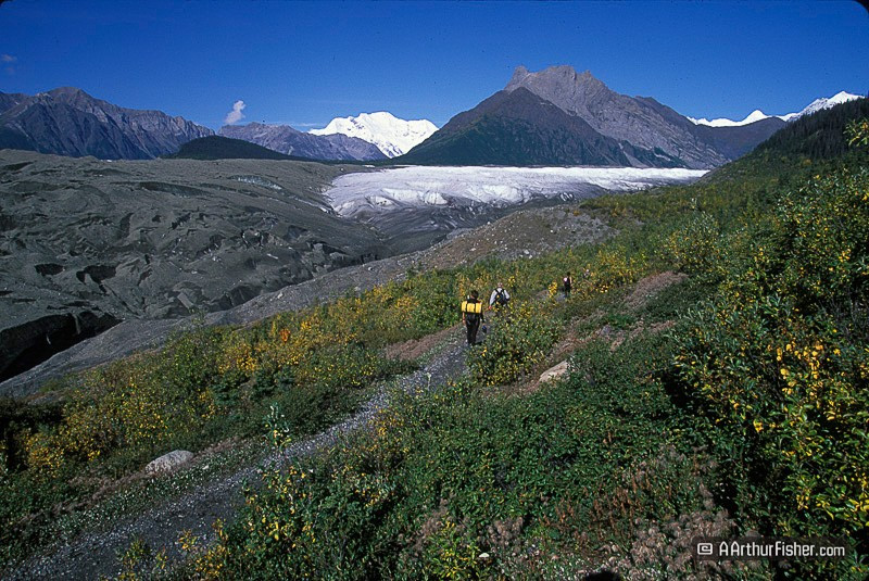 Hikers at the Root Glacier Hikers at the Root Glacier