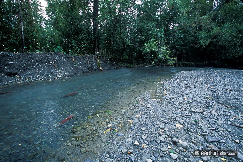 AF010800 0027 AF010800 0027