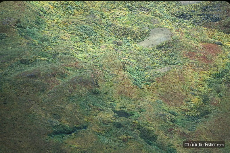 AF010800 0109 AF010800 0109