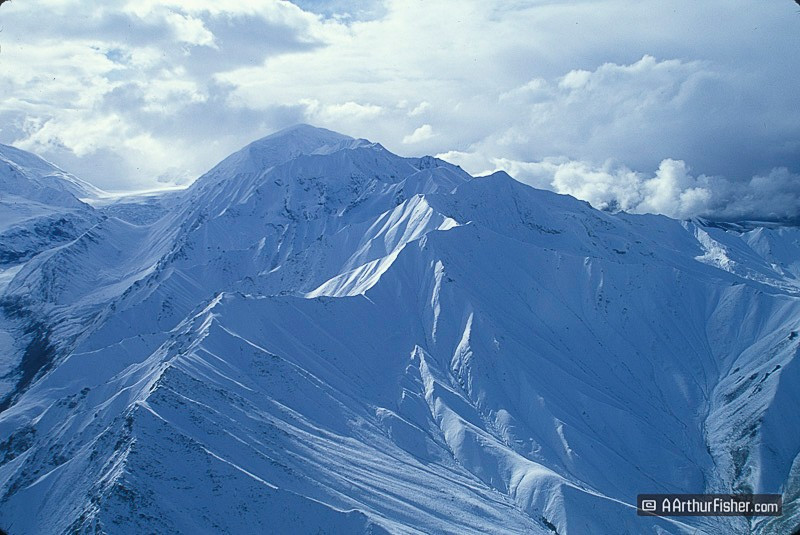 AF010800 0111 AF010800 0111