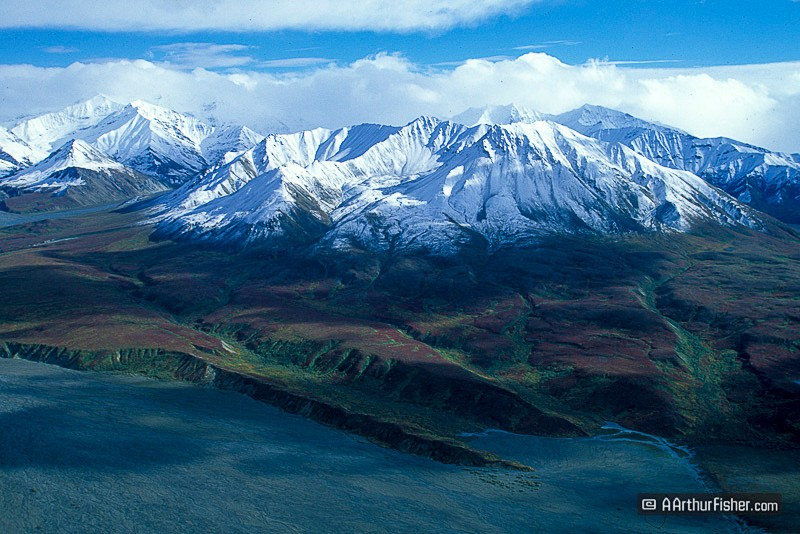 Denali National Park Denali National Park