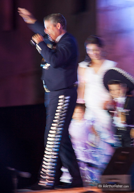 chip, presidente chip, presidente