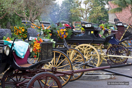 Historic Horse Drawn Carriages