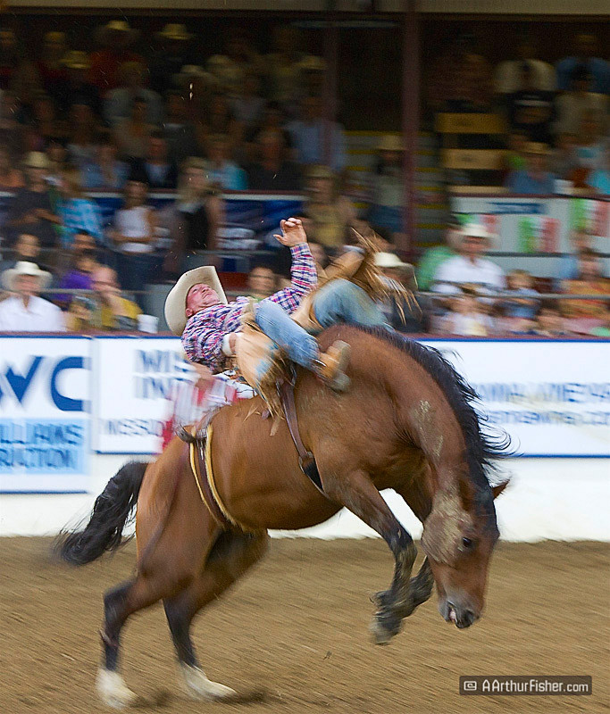 Bucking Bronco Ride Bucking Bronco Ride