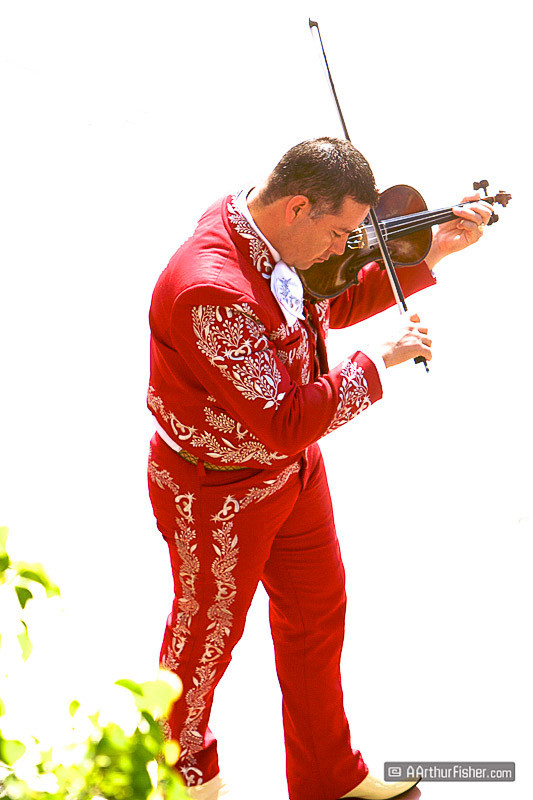 mariachi mariachi